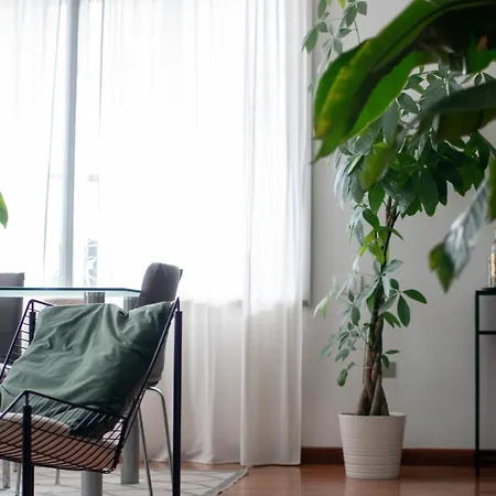 Urban Jungle - Attico Vista Duomo 米兰